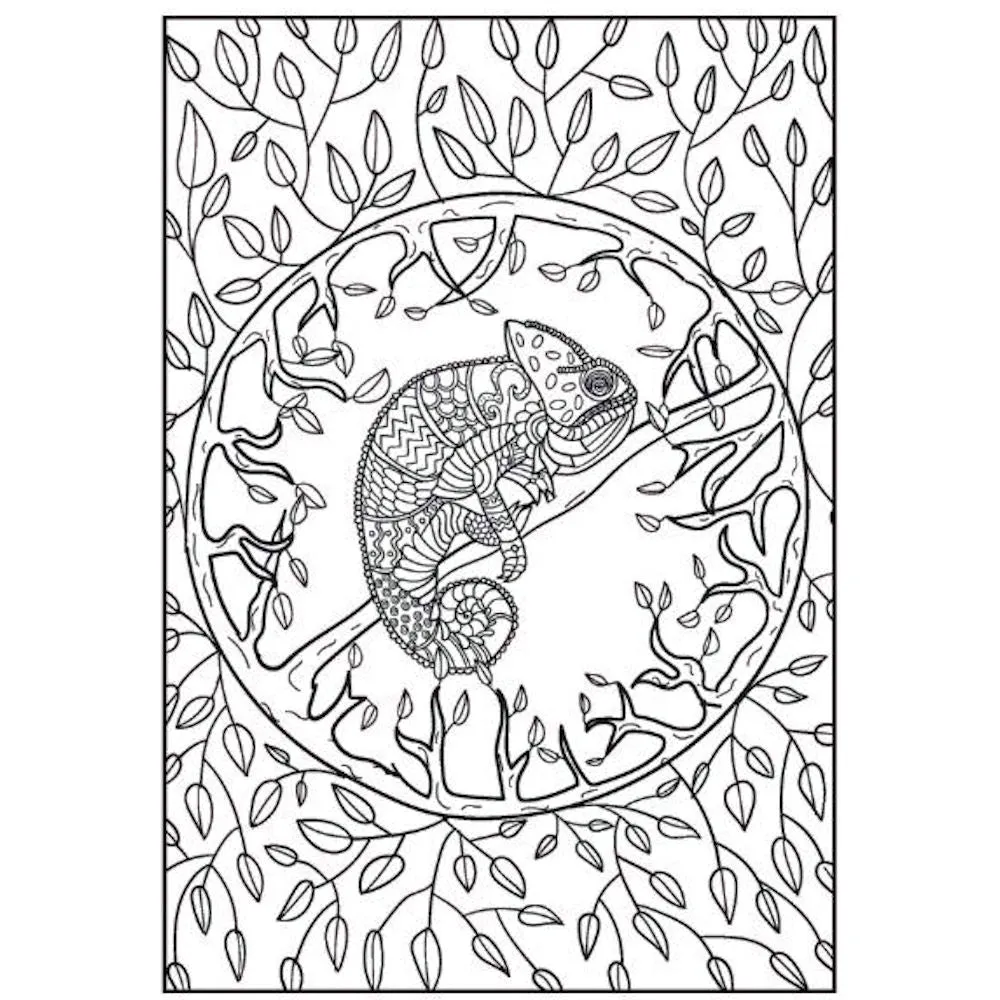 A4 Peaceful Advanced Colouring Book - Intricate Designs Relaxing Art Therapy High Quality Paper Tranquil