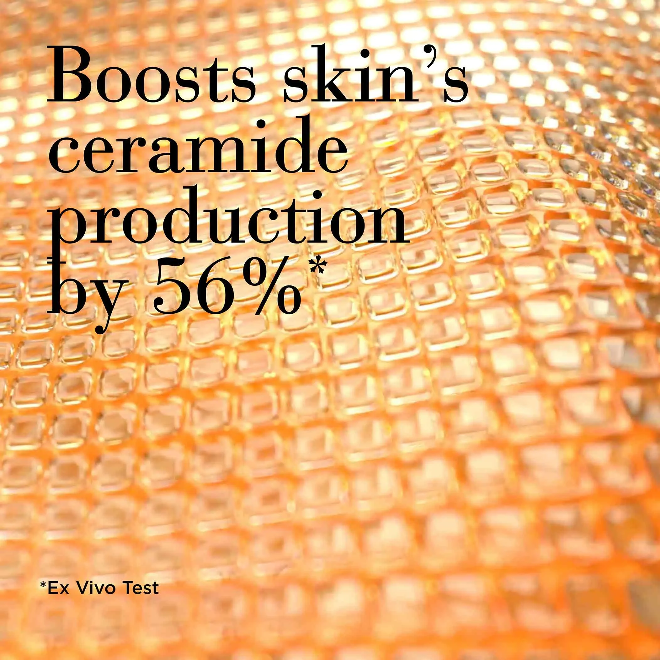 Ceramide Micro Capsule Skin Replenishing Essence