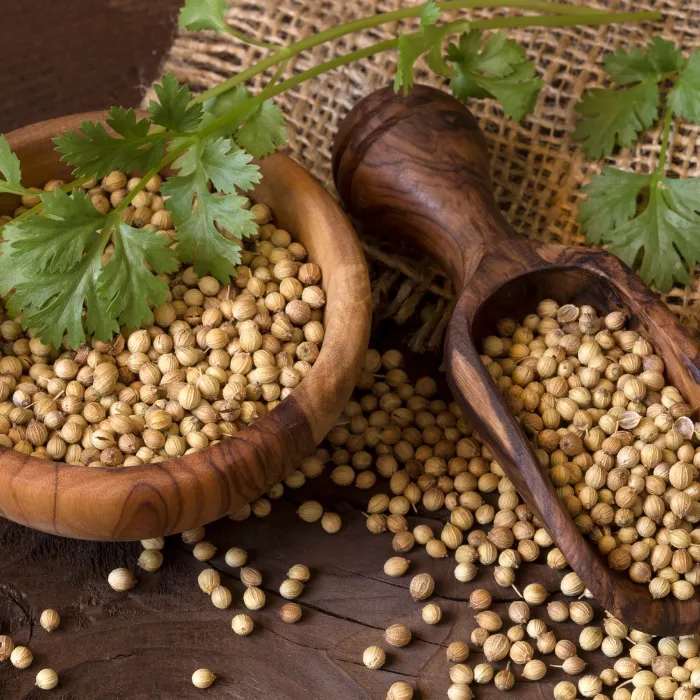 Coriander Seeds Organic