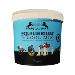 Equilibrium B1 (Blue)