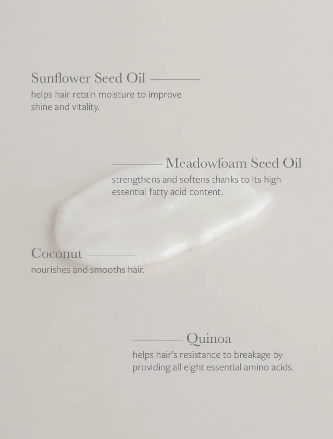 Hydrating & Nourishing Moisture Leave-In Treatment - Seed Phytonutrients